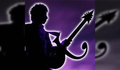 New Purple Celebration