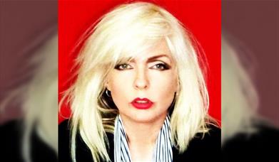 Bootleg Blondie - Remembering Clem Burke