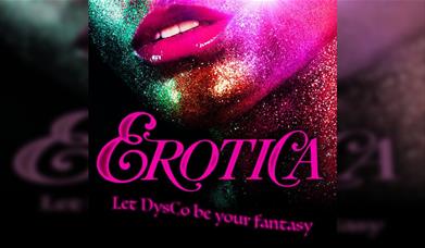 Dysco Erotica | Release Your Inner Inhibition