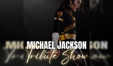 Michael Jackson Tribute Show