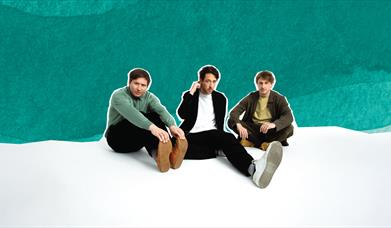 The Wombats