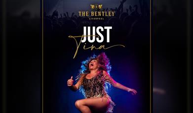 Tina Turner Tribute Show