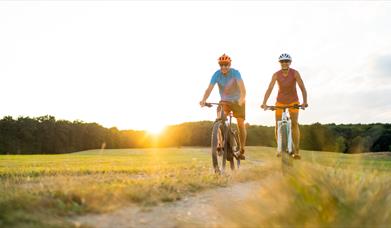 Two men cycling through an open parkland at sunset during summer.