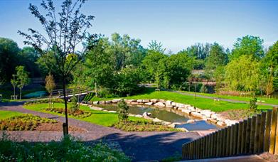 Landscaped gardens with green grass, trees and a pond.