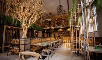 Mowgli Street Food entrance with dining tables and a large tree situated in the middle of the restaurant. There's swing chairs to the right with table