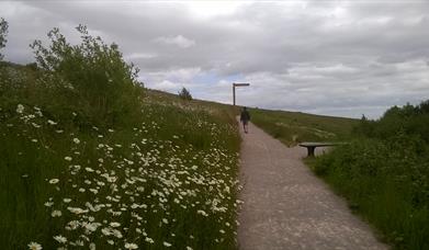 Port Sunlight River Park