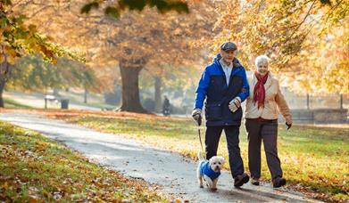 an older couple walking a little white dog through a park