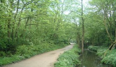 Sankey Valley Country Park & Trail