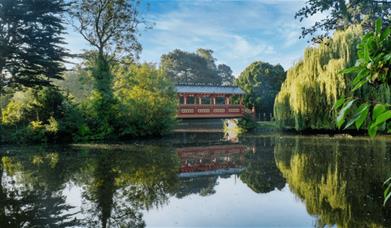 The lake at Birkenhead Park in summer.