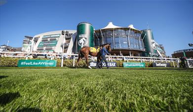 Aintree Racecourse horse parading through the course.