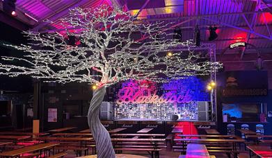 Blackstock Market food market with a large faux tree in the middle of the room and a stage behind it.