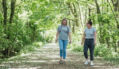 Two women walk through a wooded area on a warm day, wearing jeans and t shirts. They are smiling at eachother.