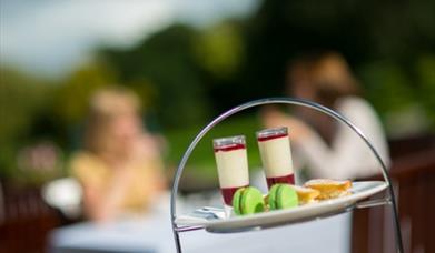 Afternoon Tea at Lawns